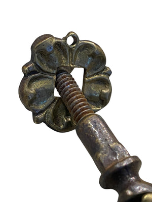 Brass Tulip Teardrop Pull and Backplate