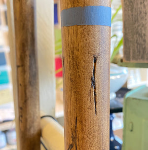 Staining Basics